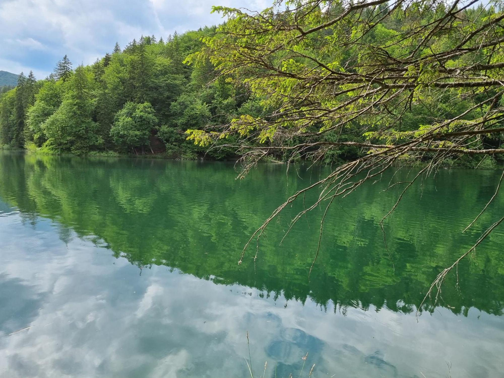 Villa Lady Di Plitvice Vrhovine Esterno foto