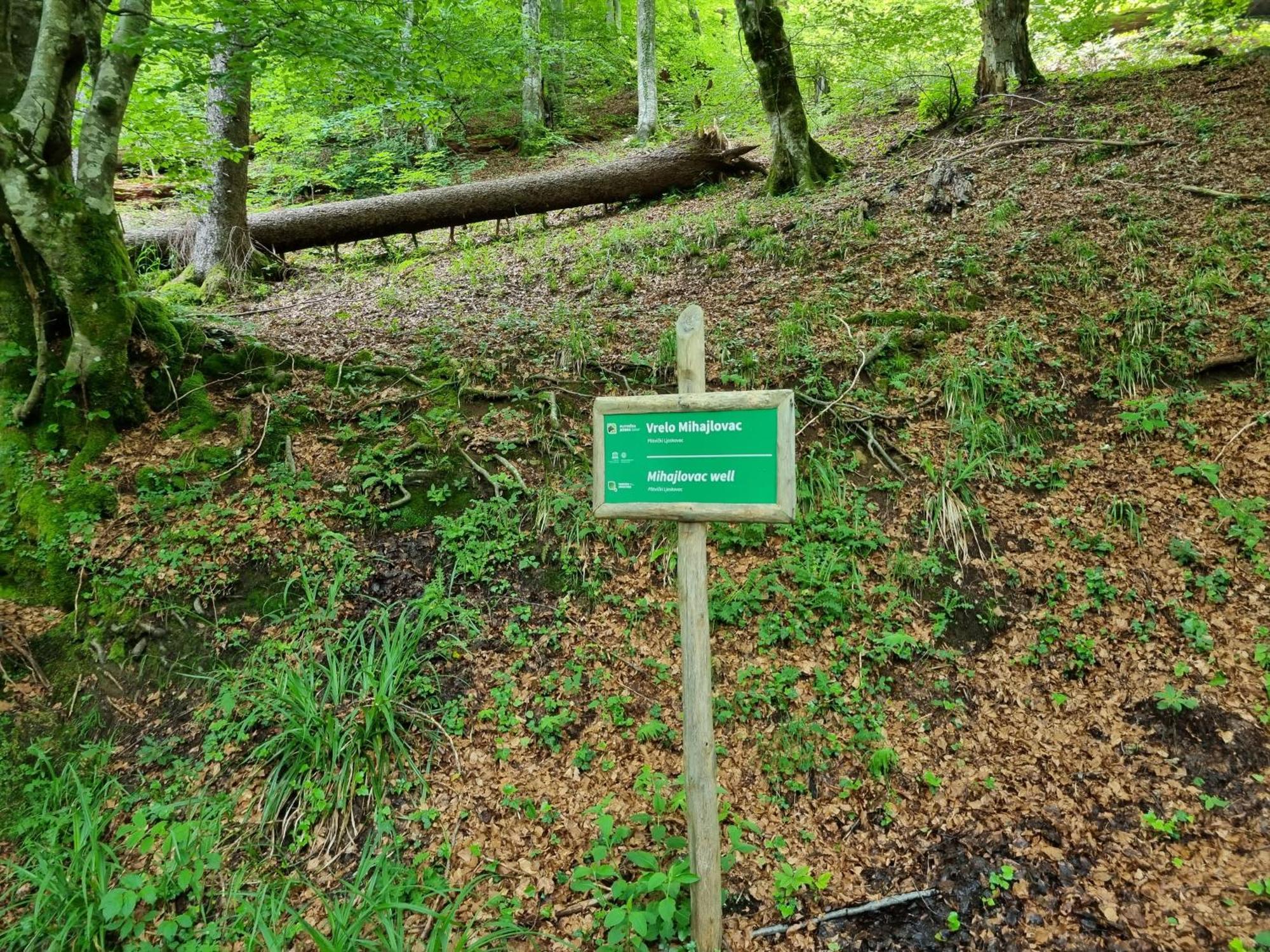 Villa Lady Di Plitvice Vrhovine Esterno foto